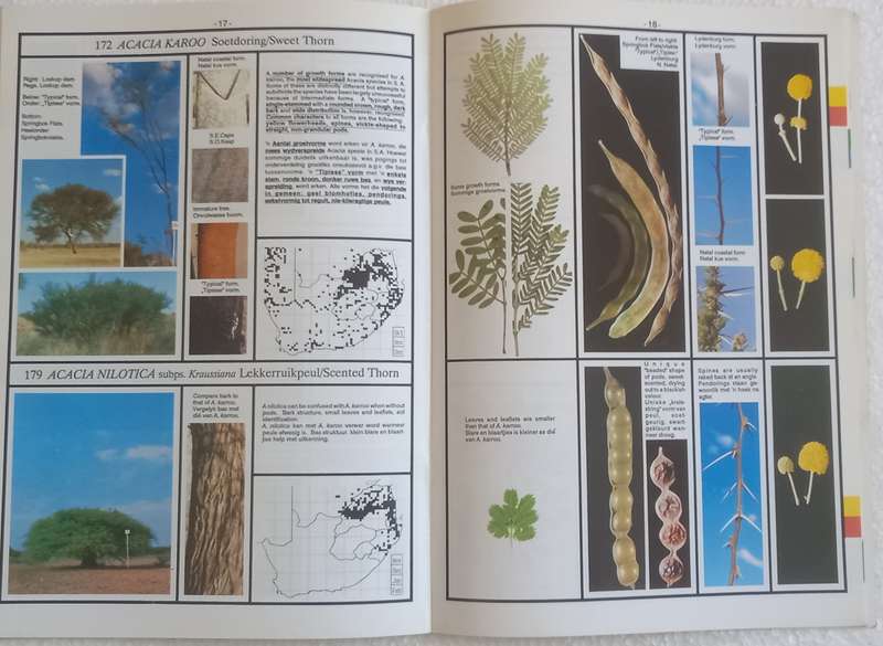 SA Acacia Identifikasiegids Identification Guide (Marthinus Steyn)