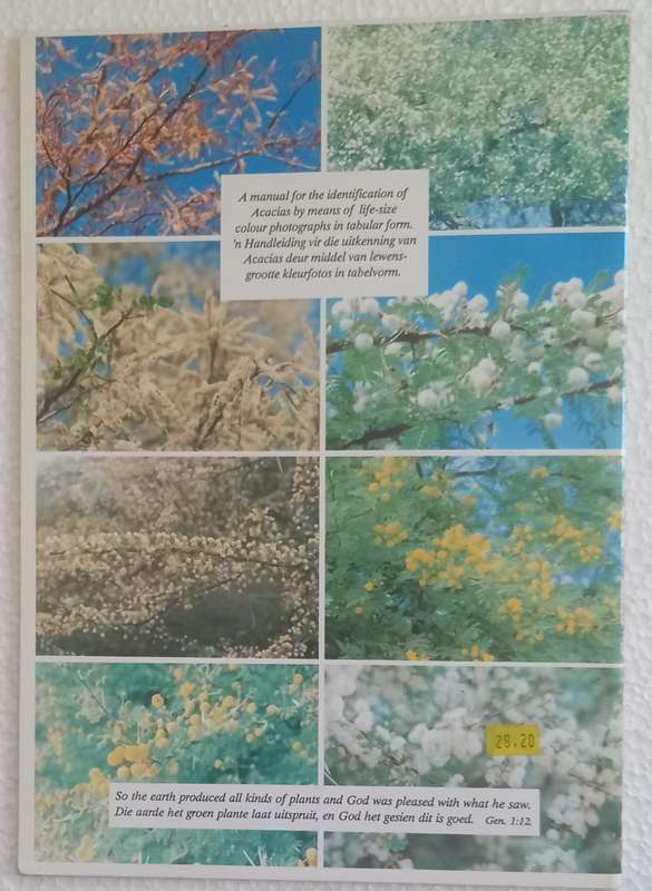 SA Acacia Identifikasiegids Identification Guide (Marthinus Steyn)