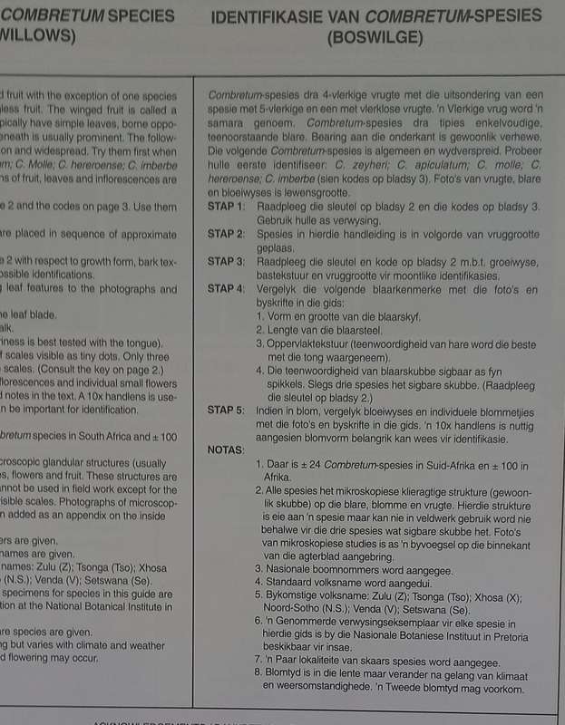 SA Combretum Terminalia Identifikasiegids Identification Guide (Marthinus Steyn)