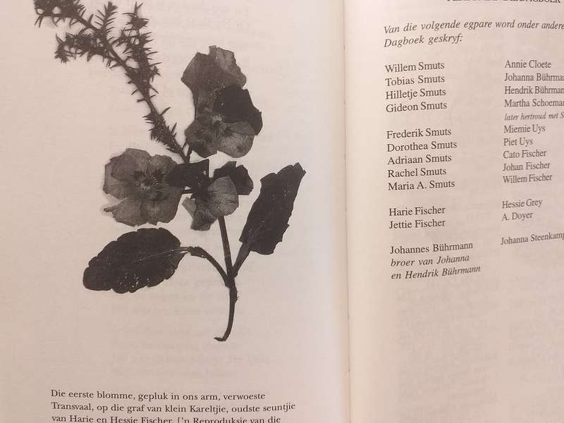 Tant Miem Fischer se kampdagboek (Anglo Boereoorlog)