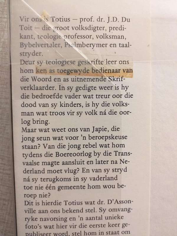 Totius Profeet van die Mooirivier (VE d'Assonville)