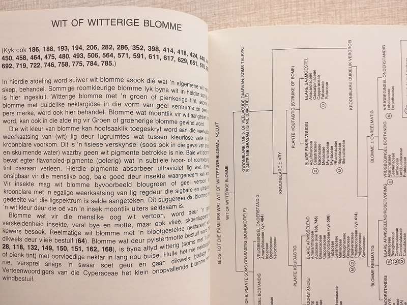 Veldgids tot die Veldblomme van die Witwatersrand en Pretoria Gebied (Braam van Wyk / Sasa Malan)