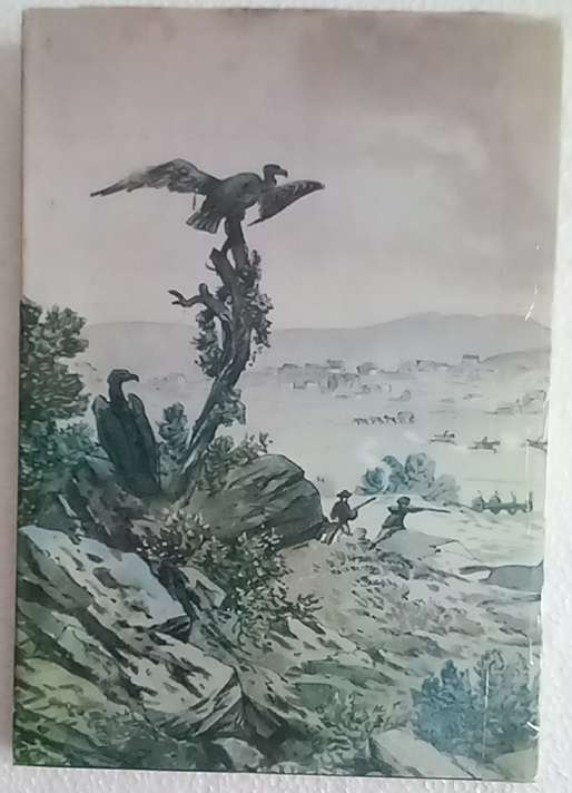 Vrystaat fokus (PJ Nienaber en CJP le Roux)