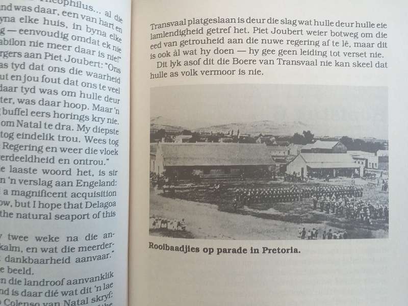 Waai vierkleur van Transvaal (PG Hendriks)
