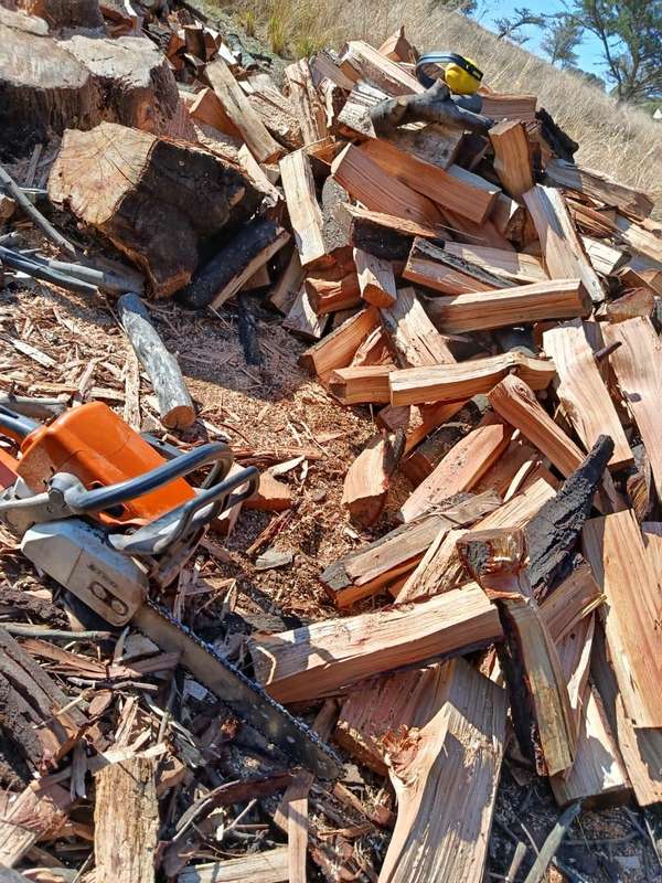 Bulk Black Wattle Firewood