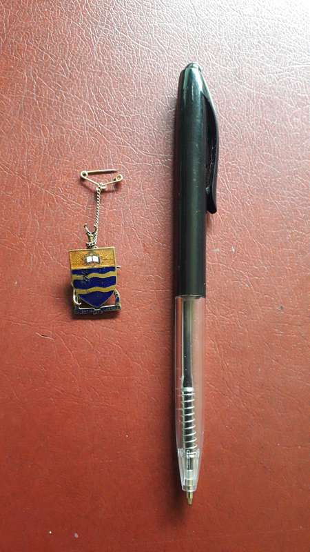 Wits   pin badge