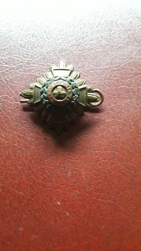 Motto of the Order of the Bath    pip badge