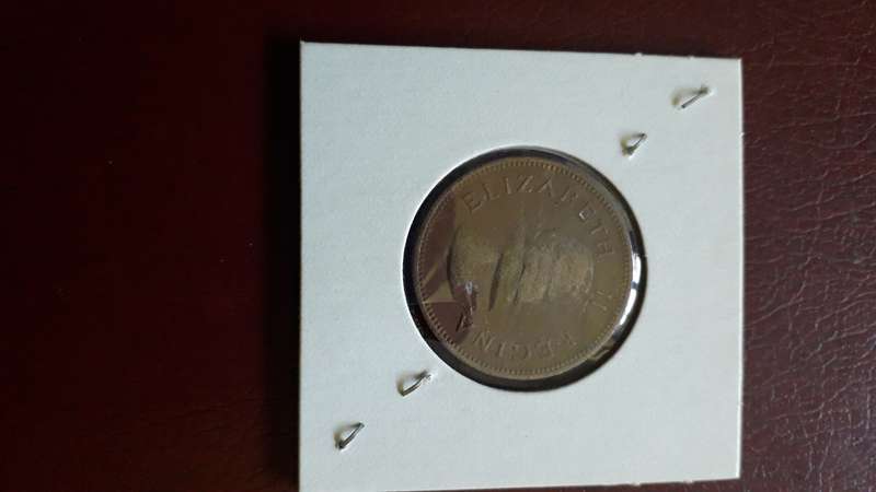 SAU  1/2 d   1955