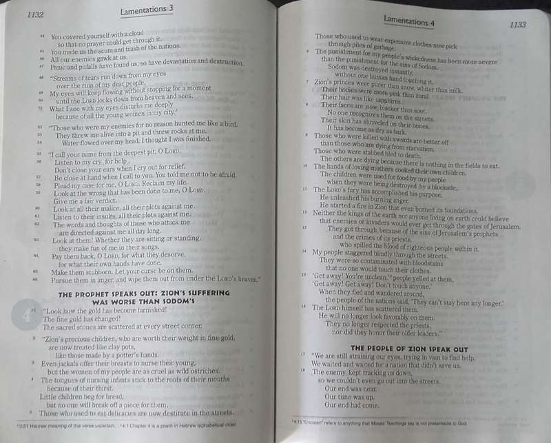 Bible/Book - God,s Word For Boys - 2008