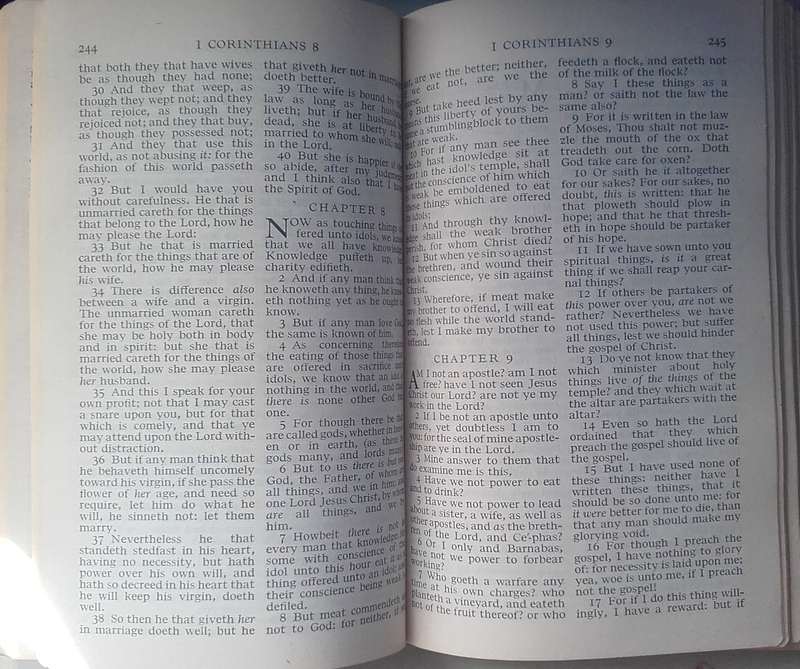 Bible - New Testament And Psalms - Bilingual - 1981