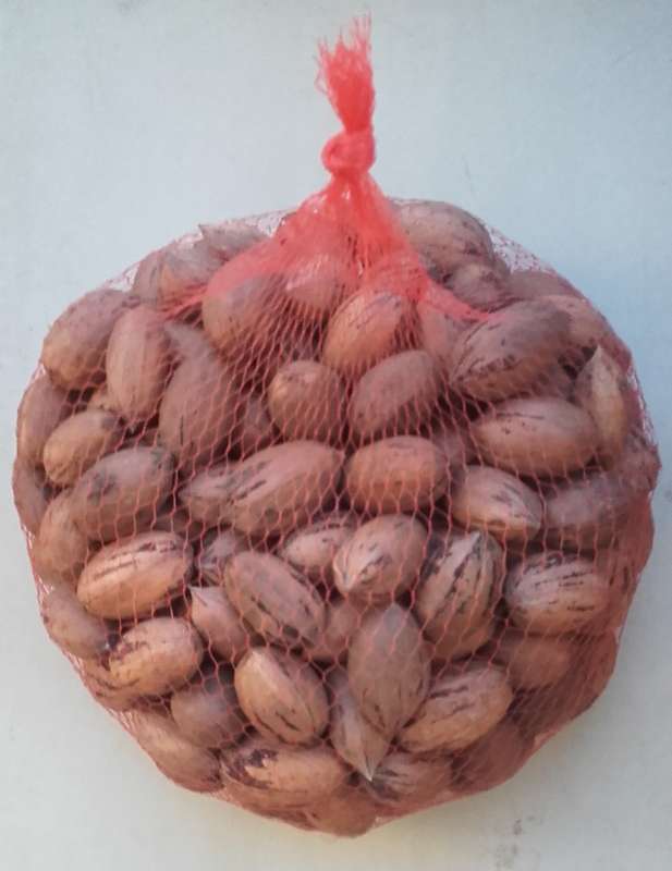 Pecan Nuts - 1KG