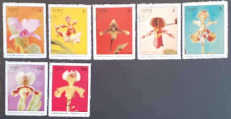 Stamp - Cuba - Flowers - 1971 - cto
