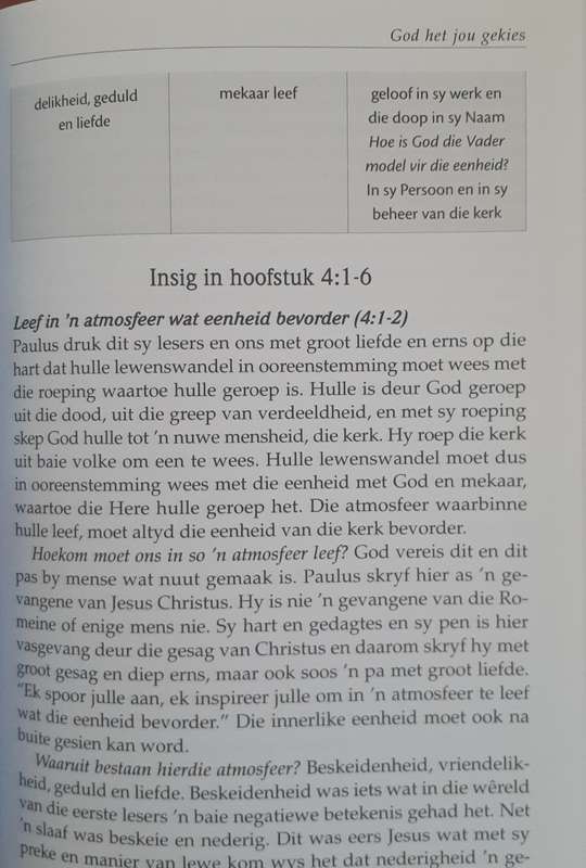 Bible/Book - God Het Jou Gekies - Ben De Klerk - 2018