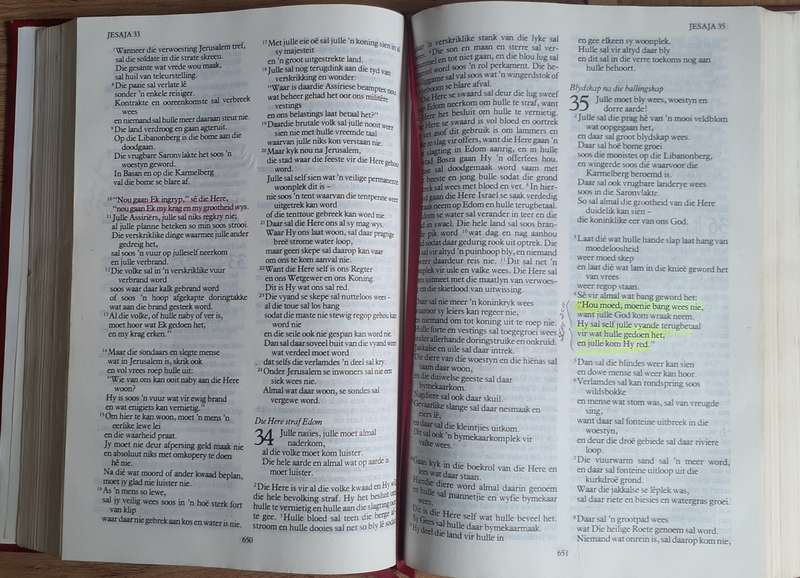 Bible/Bybel - Die Lewende Bybel -  1994