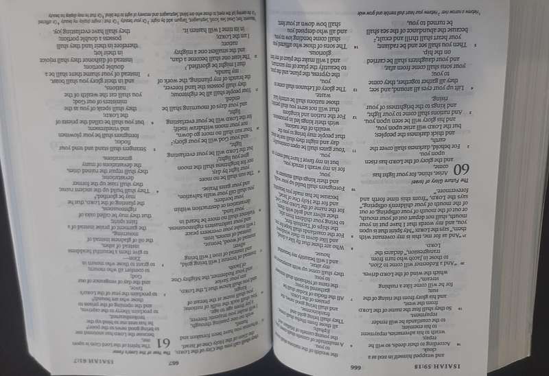 Bible - Holy Bible - 2011 - American Military - S/C - Unused