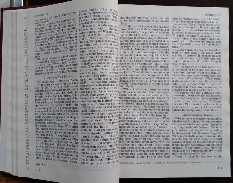 Bible - Good News Bible - 1993
