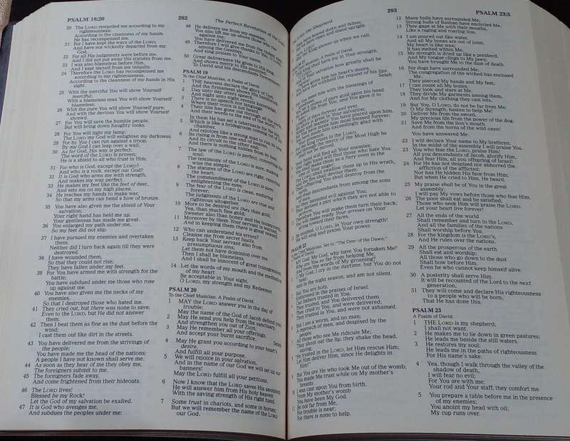 Bible - The Holy Bible - NKJV + Concordance - 1982