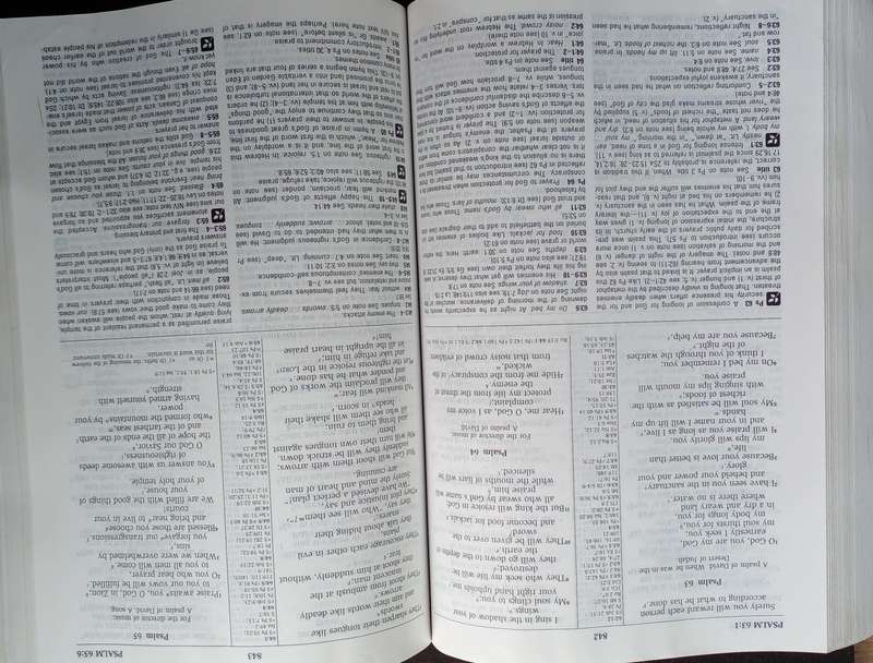 Bible - The NIV Study Bible - Zondervan - 1995