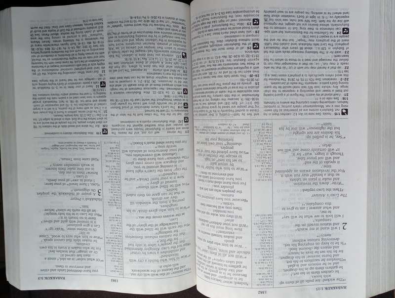 Bible - The NIV Study Bible - Zondervan - 1995