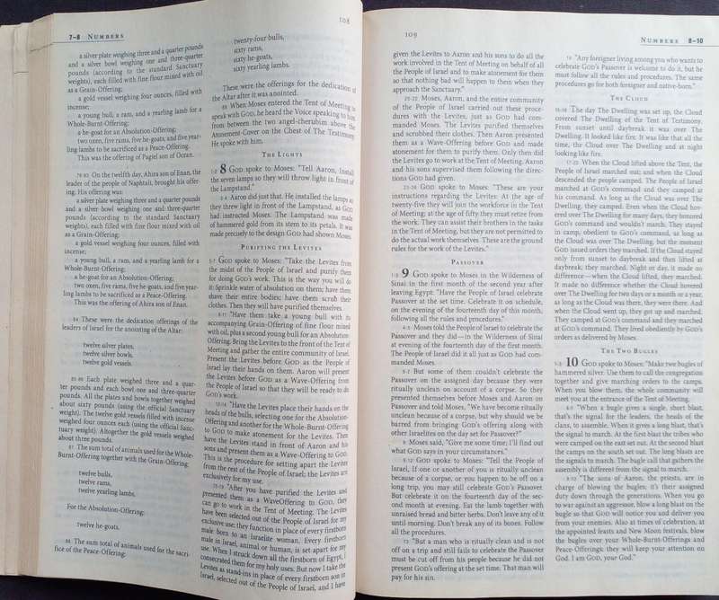 Bible The Message - International - 2005