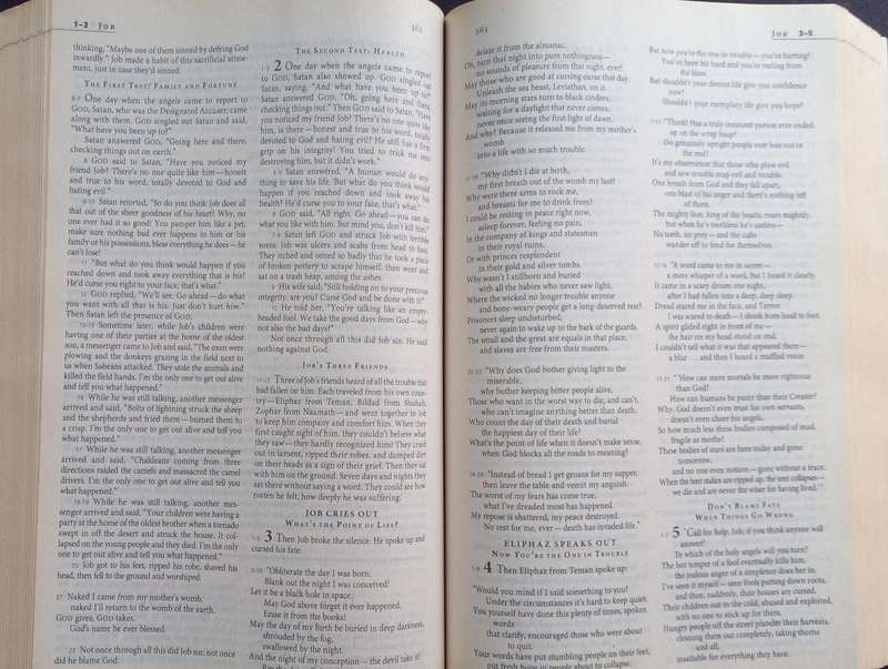 Bible The Message - International - 2005
