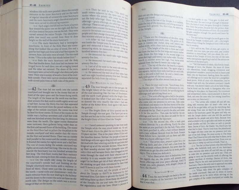 Bible The Message - International - 2005