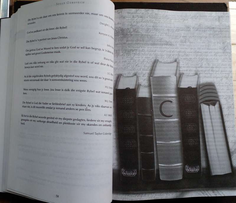 Bible/Book - Illustrasies Van Die Lewe - Solly Ozrovech - 2006