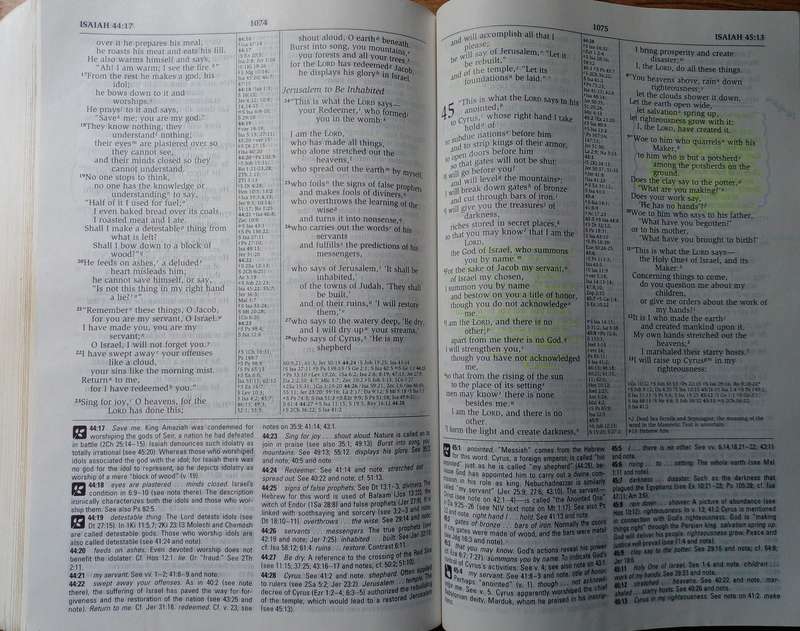 Bible - The NIV Study Bible - Zondervan - 1995 B