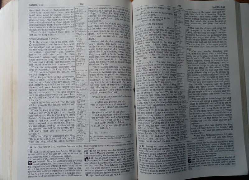 Bible - The NIV Study Bible - Zondervan - 1995 B