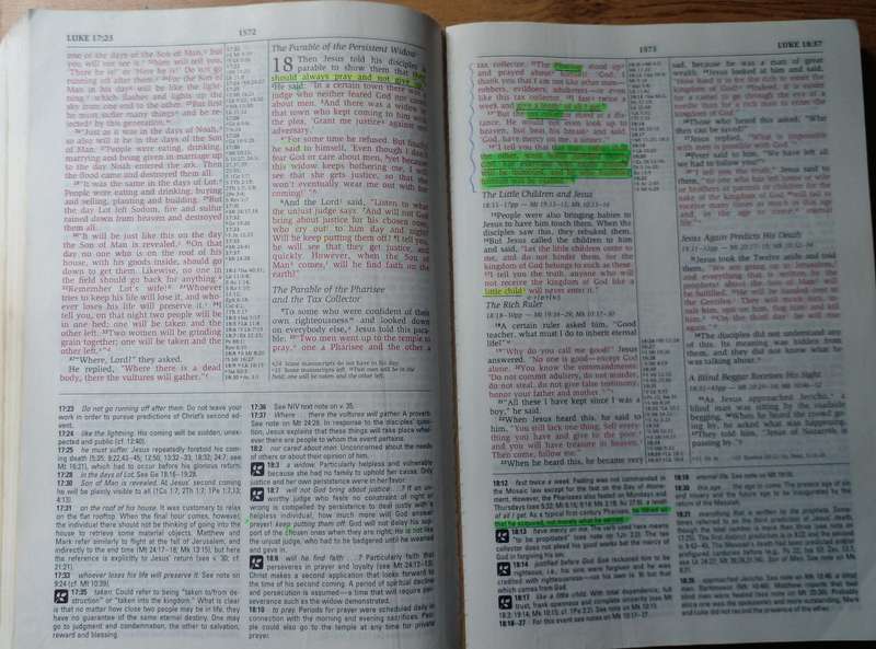Bible - The NIV Study Bible - Zondervan - 1995 B