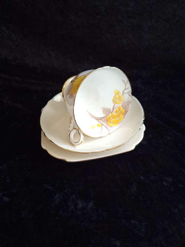1920's Shelley Tea Trio - Reg. No: 771299/12547/E - D
