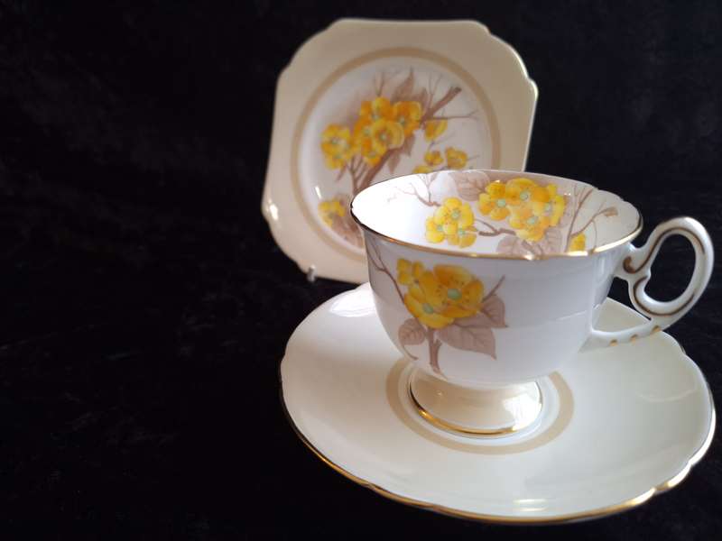 1920's Shelley Tea Trio - Reg. No: 771299/12547/E - D