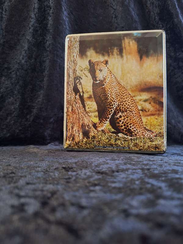 Vintage Edward Sharp Scenes from the Kruger National Park Tin - A.
