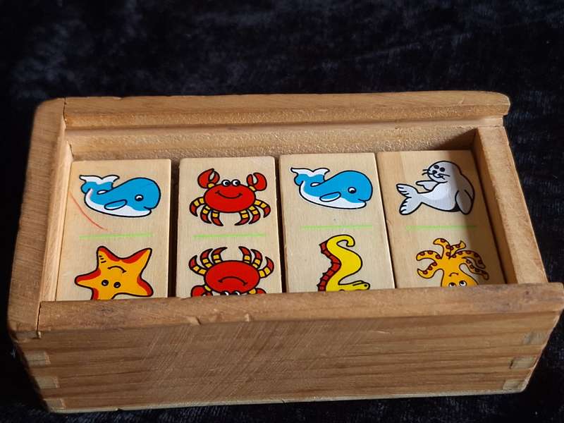 Vintage Wooden Dominos