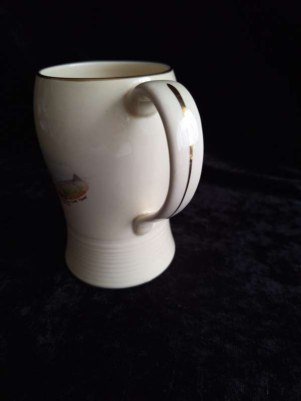 Vintage Crown Devon Souvenir Series (Cape Town) Beer Mug