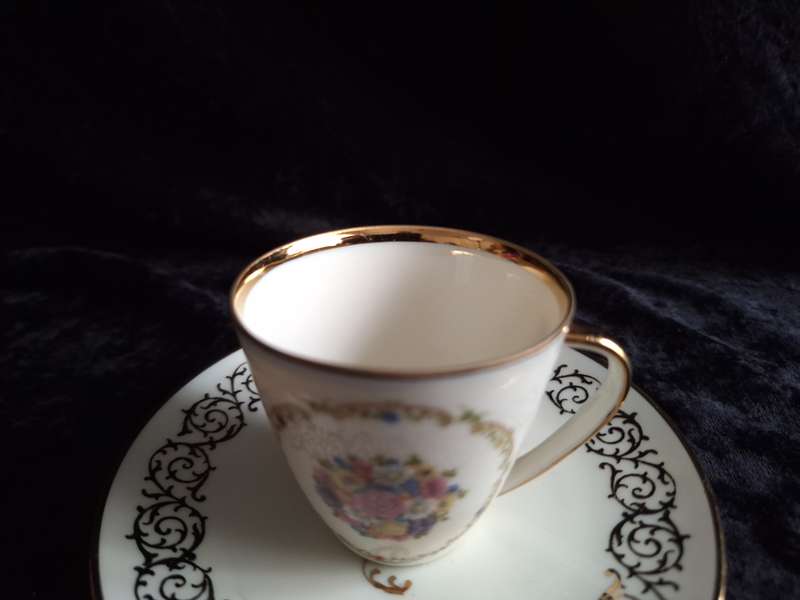 Beautiful Vintage Gloria Western Germany Coffee Duo