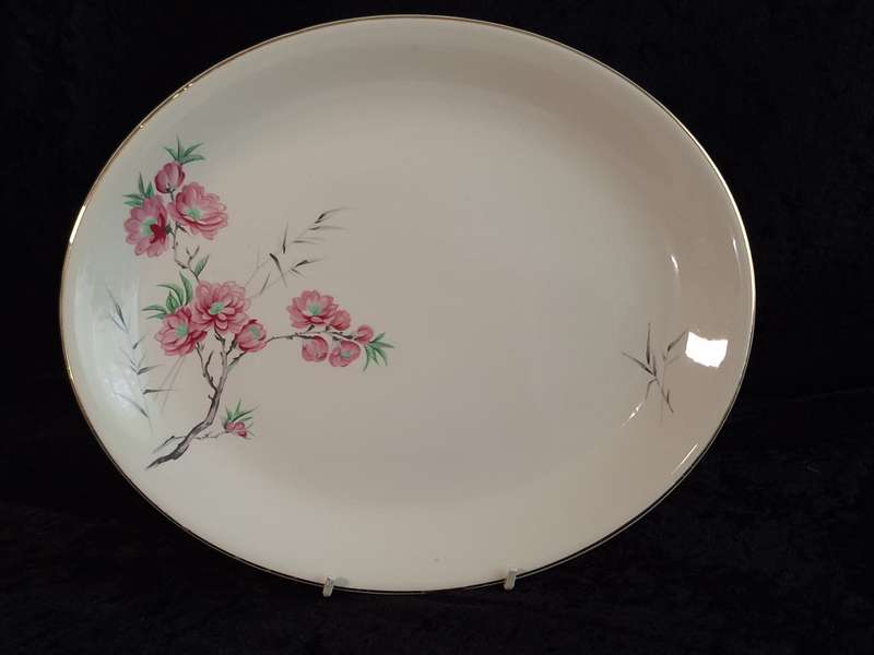 Stunning Vintage Alfred Meakin England - Cherry Blossom Medium Meat Platter