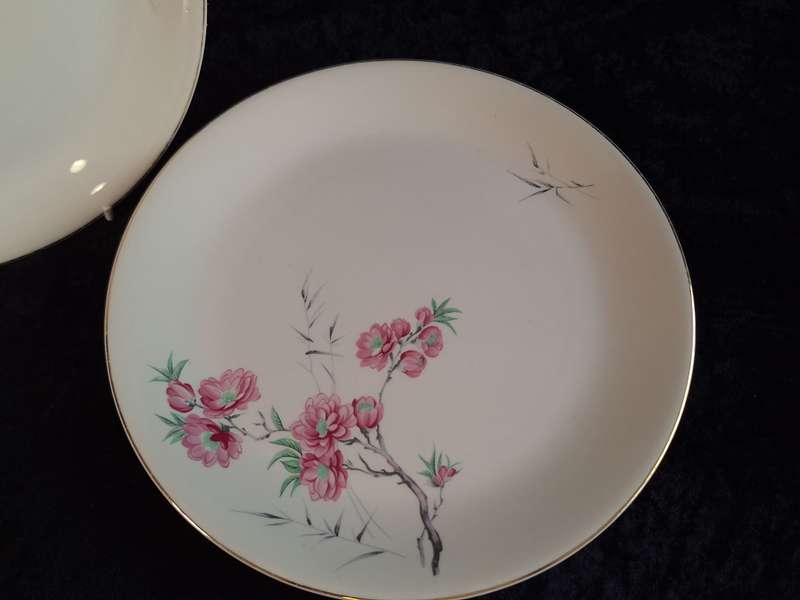 Stunning Vintage Set of 3 Alfred Meakin England - Cherry Blossom Dinner Plates.