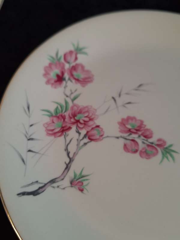 Stunning Vintage Set of 3 Alfred Meakin England - Cherry Blossom Dinner Plates.