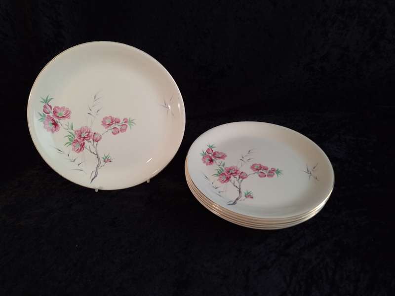 Stunning Vintage Set of 6 Alfred Meakin England - Cherry Blossom Entrée Plates.