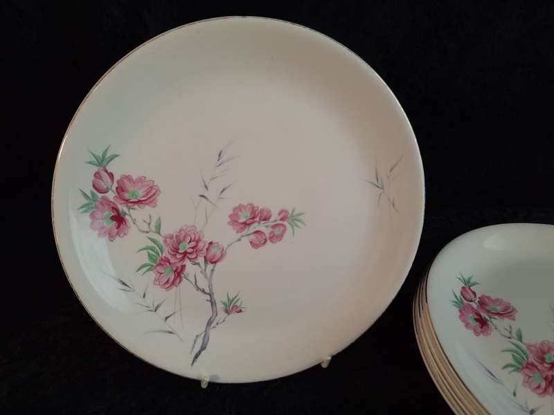Stunning Vintage Set of 6 Alfred Meakin England - Cherry Blossom Entrée Plates.