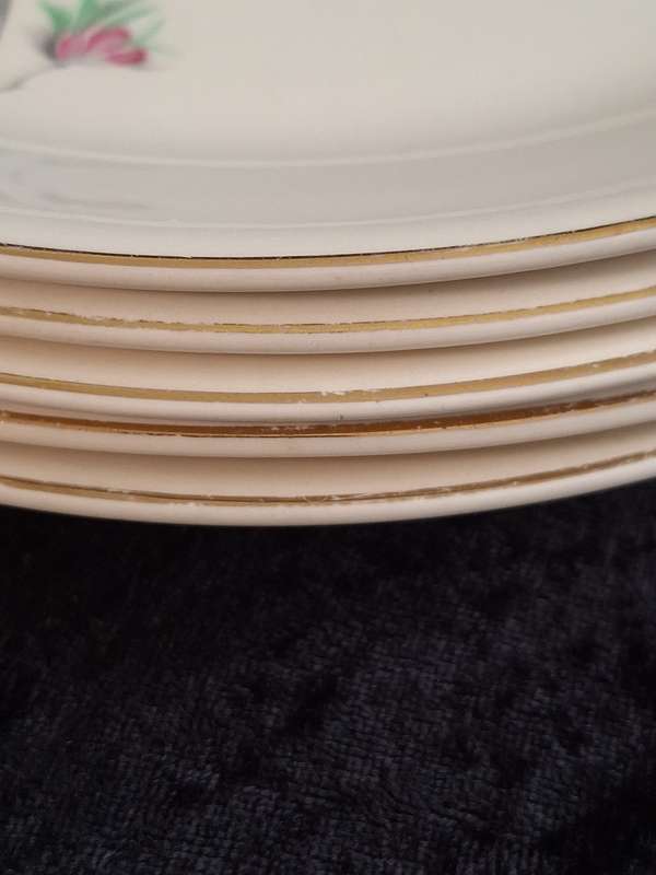 Stunning Vintage Set of 6 Alfred Meakin England - Cherry Blossom Entrée Plates.