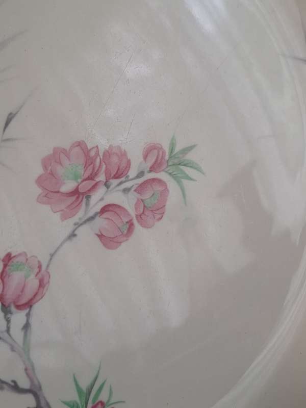 Stunning Vintage Set of 6 Alfred Meakin England - Cherry Blossom Entrée Plates.