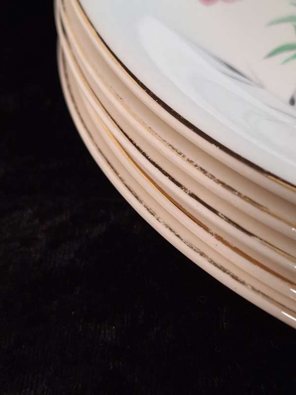 Stunning Vintage Set of 6 Alfred Meakin England - Cherry Blossom Entrée Plates.