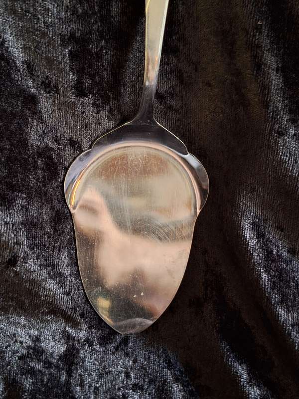 Vintage Eetrite Rosita Stainless-Steel Cake/pastry Server.