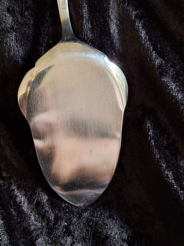 Vintage Eetrite Rosita Stainless-Steel Cake/pastry Server.