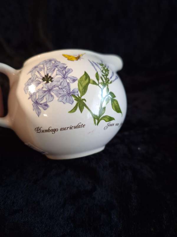 Taurus Ceramics Milk Jug (Plumbago Auriculate - Joan Van Gogh)