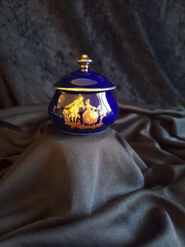 Beautiful Vintage Limoges France Trinket