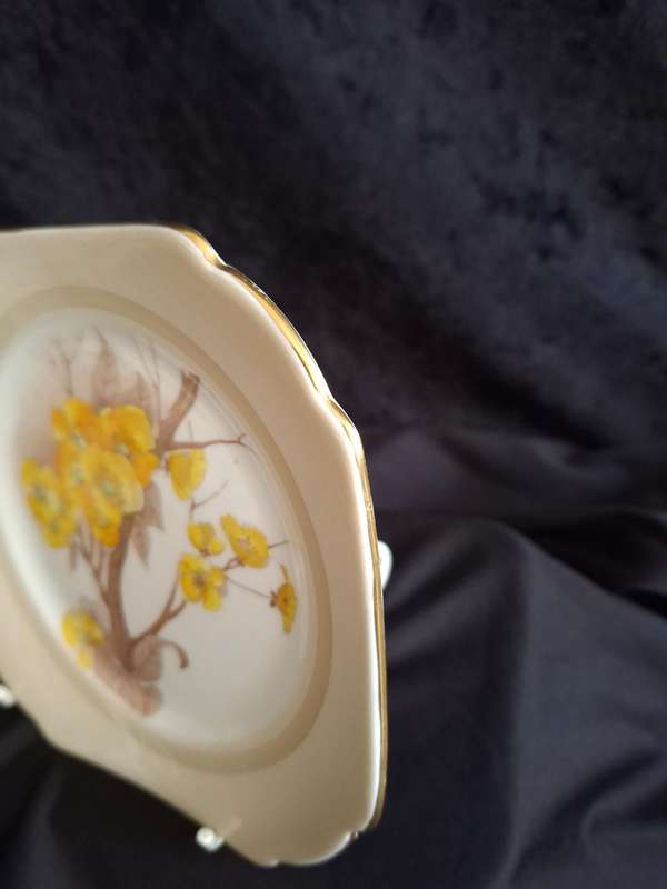 Stunning Art-Deco 1920's Shelley Small Plate - Reg. No: 771299/12547/E - A