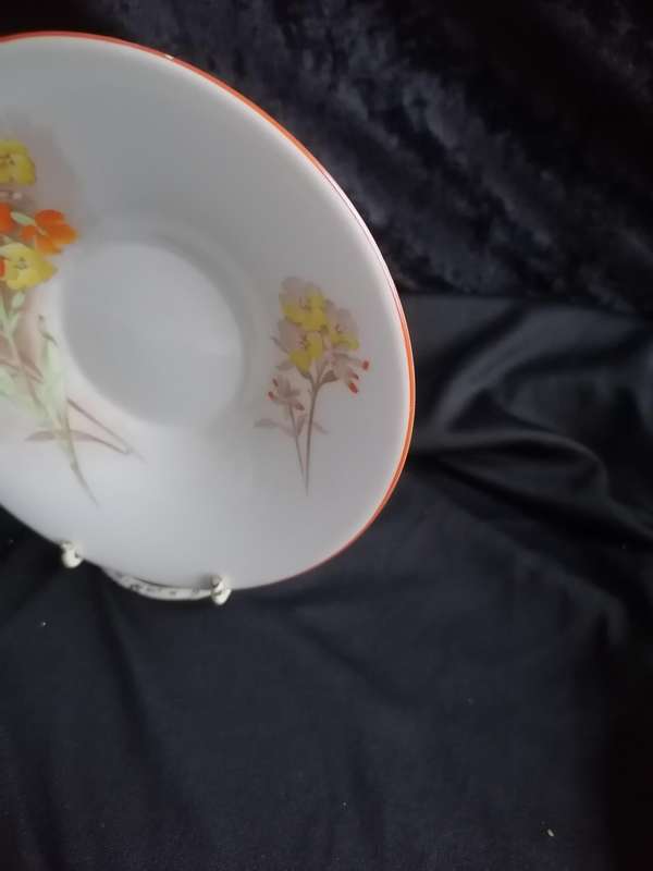 Vintage Retro Shelley Orange Saucer - W: 12451/2.